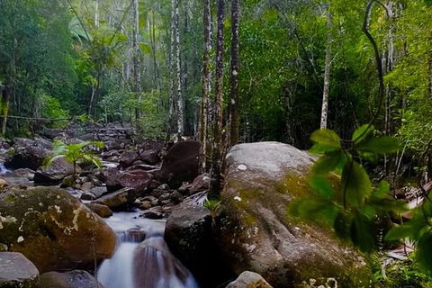 Chasing Waterfalls In The Whitsunday\'s Full Day Tour - Northern Rivers Accommodation 13