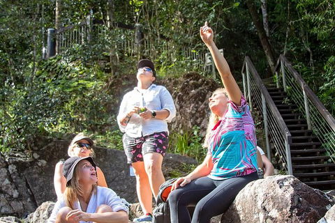 Chasing Waterfalls In The Whitsunday\'s Full Day Tour - Northern Rivers Accommodation 4