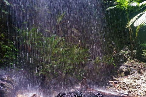 Full-Day Guided Sightseeing Tour Of The Gold Coast Waterfalls - Northern Rivers Accommodation 5