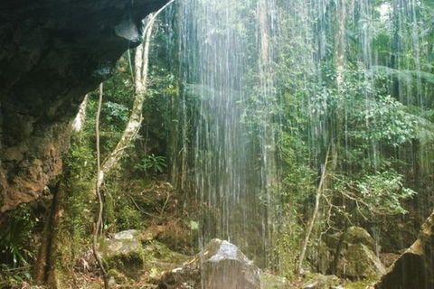 Full-Day Guided Sightseeing Tour Of The Gold Coast Waterfalls - Northern Rivers Accommodation 4