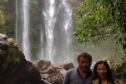 Full-Day Guided Sightseeing Tour Of The Gold Coast Waterfalls - Northern Rivers Accommodation 1