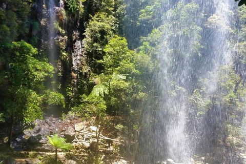 Full-Day Guided Sightseeing Tour Of The Gold Coast Waterfalls - Northern Rivers Accommodation 2