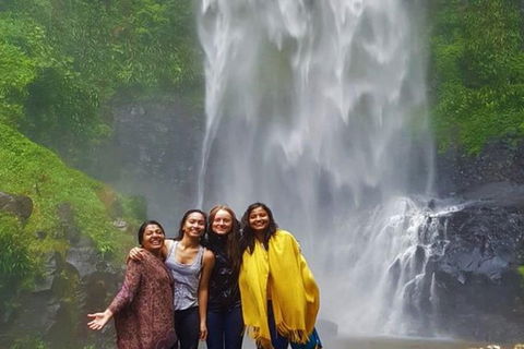 Full-Day Guided Sightseeing Tour Of The Gold Coast Waterfalls - Northern Rivers Accommodation 0