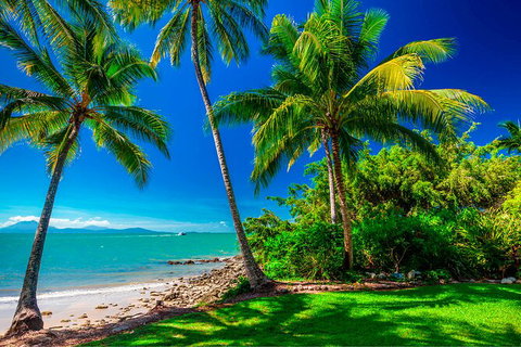 SHUTTLE - Port Douglas And Craiglie Return Transfer - Northern Rivers Accommodation 2