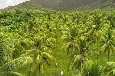 SHUTTLE - Thala Beach And Turtle Cove From Port Douglas (Return Transfer) - Northern Rivers Accommodation 1