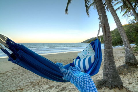 SHUTTLE - Thala Beach And Turtle Cove From Port Douglas (Return Transfer) - Northern Rivers Accommodation 3