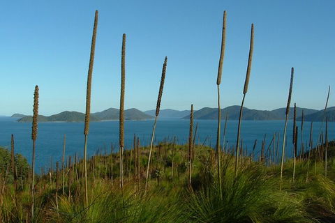 7-Day Private Sea Kayaking In Whitsundays - Northern Rivers Accommodation 8