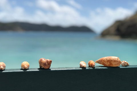 7-Day Private Sea Kayaking In Whitsundays - Northern Rivers Accommodation 1