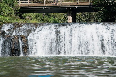 Tablelands Food & Wine Tour - Northern Rivers Accommodation 6