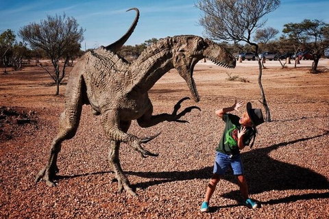 8-Day Outback Experience From Queensland - Northern Rivers Accommodation 14