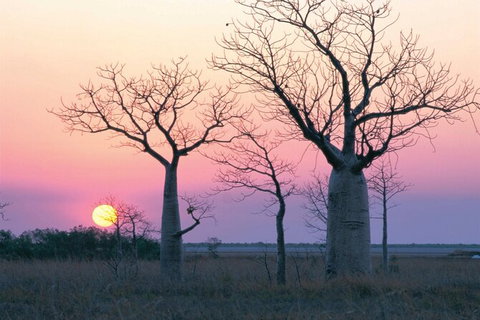 8-Day Outback Experience From Queensland - Northern Rivers Accommodation 0