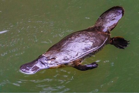 8-Day Outback Experience From Queensland - Northern Rivers Accommodation 15