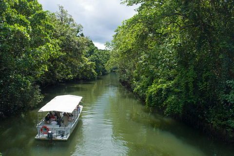 World Heritage Highlights: Reef/Daintree/Cape Tribulation - Northern Rivers Accommodation 1