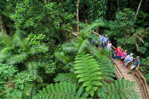 World Heritage Highlights: Reef/Daintree/Cape Tribulation - Northern Rivers Accommodation 3