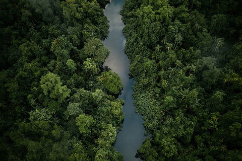 World Heritage Highlights: Reef/Daintree/Cape Tribulation - Northern Rivers Accommodation 10