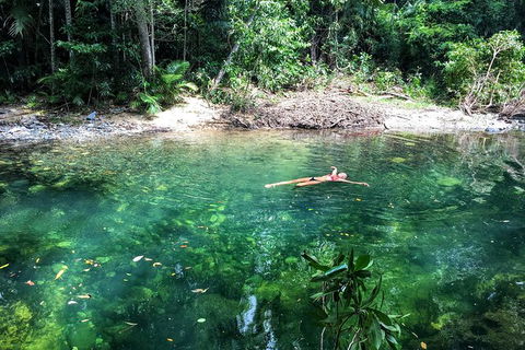 World Heritage Highlights: Reef/Daintree/Cape Tribulation - Northern Rivers Accommodation 4
