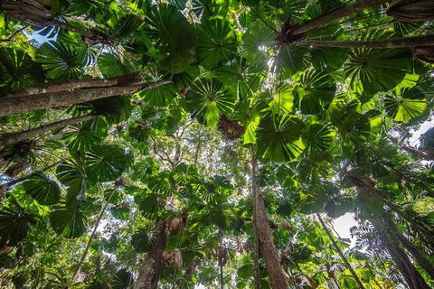 5 Day Australia Retreat: Queensland Daintree - Northern Rivers Accommodation 4