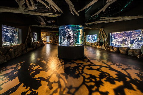 Cairns Aquarium By Twilight With 3 Course Dinner - Northern Rivers Accommodation 7