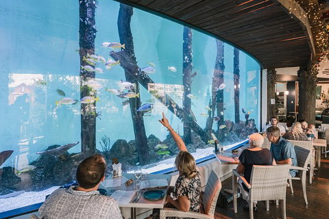 Cairns Aquarium By Twilight With 3 Course Dinner - Northern Rivers Accommodation 1