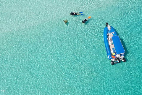 Remote Fraser Island & Whale Experience - Northern Rivers Accommodation 0