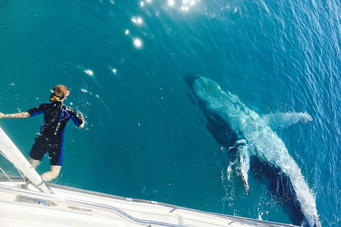 Remote Fraser Island & Whale Experience - Northern Rivers Accommodation 4
