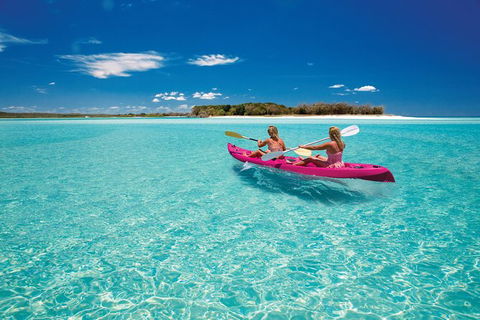 Remote Fraser Island & Whale Experience - Northern Rivers Accommodation 5