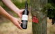 Barossa Valley Highlights From Barossa Valley Including Wine And Cheese Tasting - thumb 12