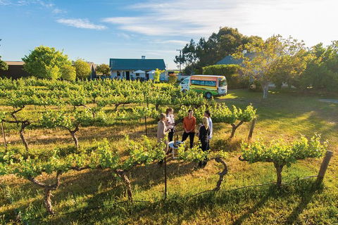 Barossa Valley Highlights From Barossa Valley Including Wine And Cheese Tasting - Northern Rivers Accommodation 0