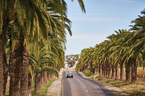 Barossa Valley Highlights From Barossa Valley Including Wine And Cheese Tasting - Northern Rivers Accommodation 2