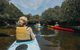 Kayak Tour In Adelaide Dolphin Sanctuary - thumb 5