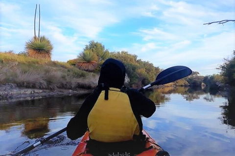 Kangaroo Island Self-Guided Kayaking On The Harriet River - Northern Rivers Accommodation 3