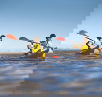Kangaroo Island Self-Guided Kayaking on the Harriet River - Northern Rivers Accommodation