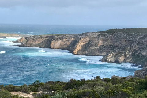 Kangaroo Island Scenic Trail Tour - Northern Rivers Accommodation 4