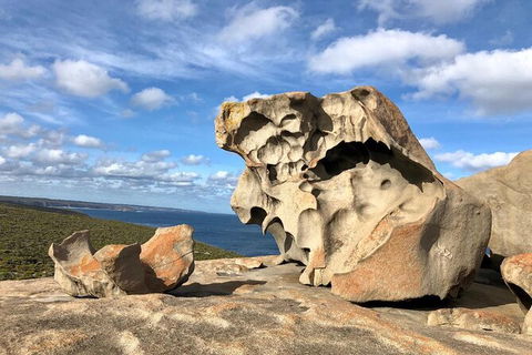Kangaroo Island 4wd - Best Of KI - Northern Rivers Accommodation 1