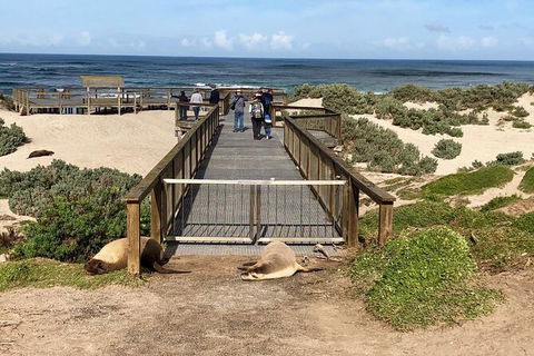 Kangaroo Island 4wd - Best Of KI - Northern Rivers Accommodation 6