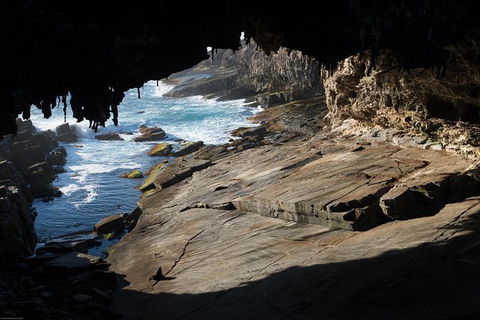 Kangaroo Island Luxury Small Group \'Flinders Chase Focus\' Full Day Tour - Northern Rivers Accommodation 6