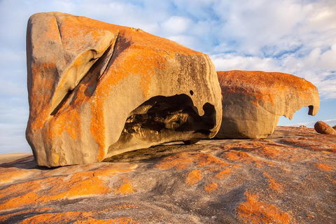 Kangaroo Island Luxury Small Group \'Flinders Chase Focus\' Full Day Tour - Northern Rivers Accommodation 1