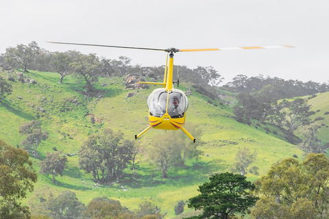 Barossa Valley Deluxe: 30-Minute Helicopter Flight - Northern Rivers Accommodation 2