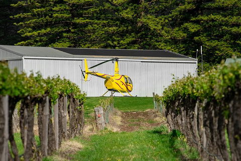 Barossa Valley Deluxe: 30-Minute Helicopter Flight - Northern Rivers Accommodation 3