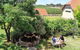 Barossa Private Wine Tour - thumb 3
