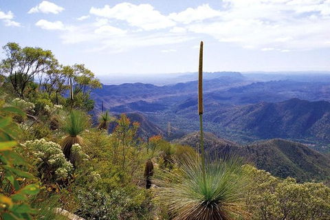 Flinders Ranges & Outback 5 Day Small Group 4WD Eco Tour - Northern Rivers Accommodation 1