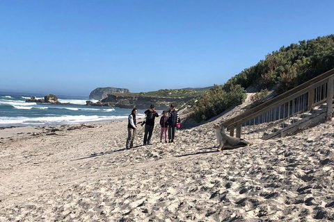Kangaroo Island 4WD - Seal Bay - Northern Rivers Accommodation 2