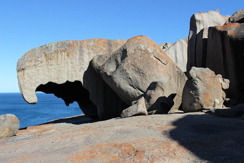 Kangaroo Island Personal Group Tours - Northern Rivers Accommodation 3