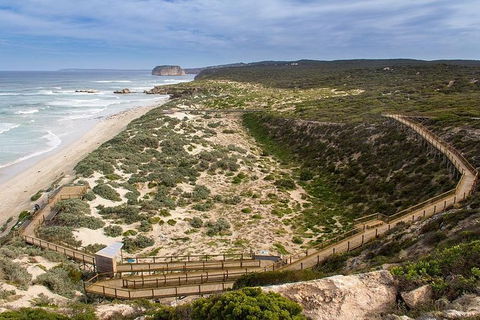 Kangaroo Island Personal Group Tours - Northern Rivers Accommodation 2