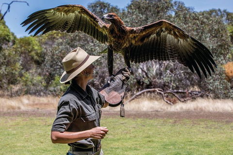 One Day Kangaroo Island Sip & See Tour With Return Ferry Transfers From Adelaide - Northern Rivers Accommodation 6