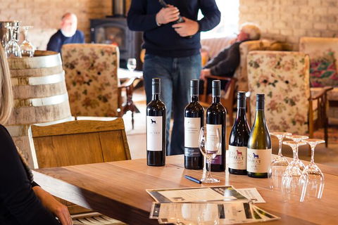 Wine Tasting At Our Cellar Door In Penola - Northern Rivers Accommodation 1