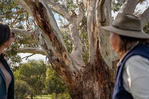 NEW TOUR - Kangaroo Island Road To Recovery Tour (1 Day/1 Night) - Northern Rivers Accommodation 2