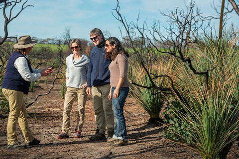 NEW TOUR - Kangaroo Island Road To Recovery Tour (1 Day/1 Night) - Northern Rivers Accommodation 0