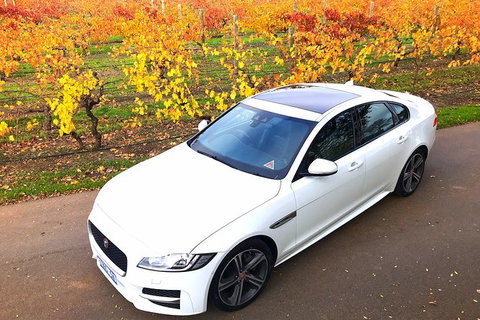 Luxury Jaguar Barossa Valley Half Day Private Tour For 2 - Northern Rivers Accommodation 2