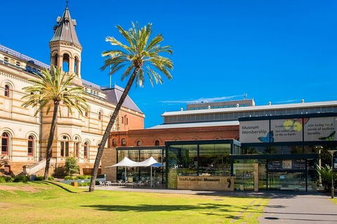 Arrival Private Transfers: Adelaide Airport ADL To Adelaide In Luxury Van - Northern Rivers Accommodation 5